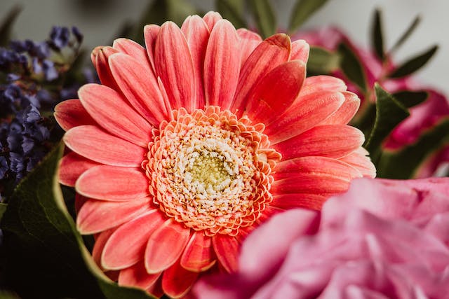 Desvendando A Origem Do Dia De Finados E As Flores Mais Vendidas