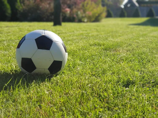 Navegando o território das apostas esportivas no Brasil